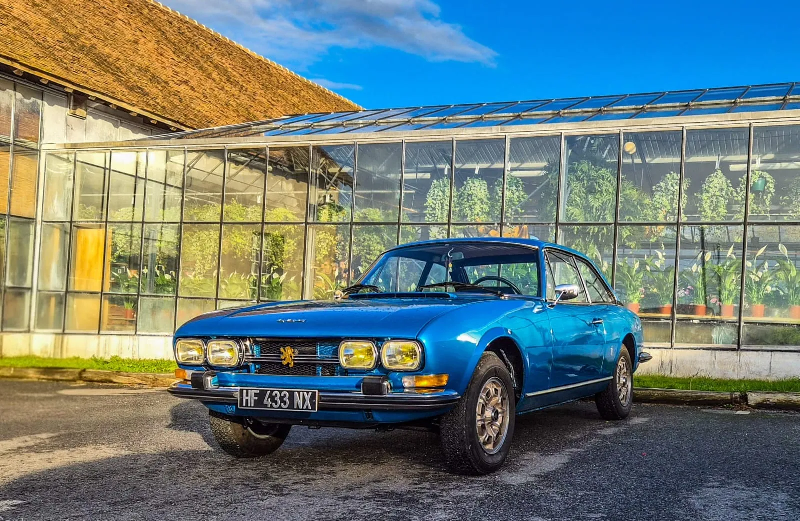 Peugeot 504 Coupé devant une serre